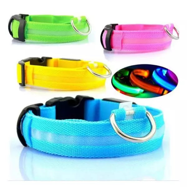 LED Dog Collar UK