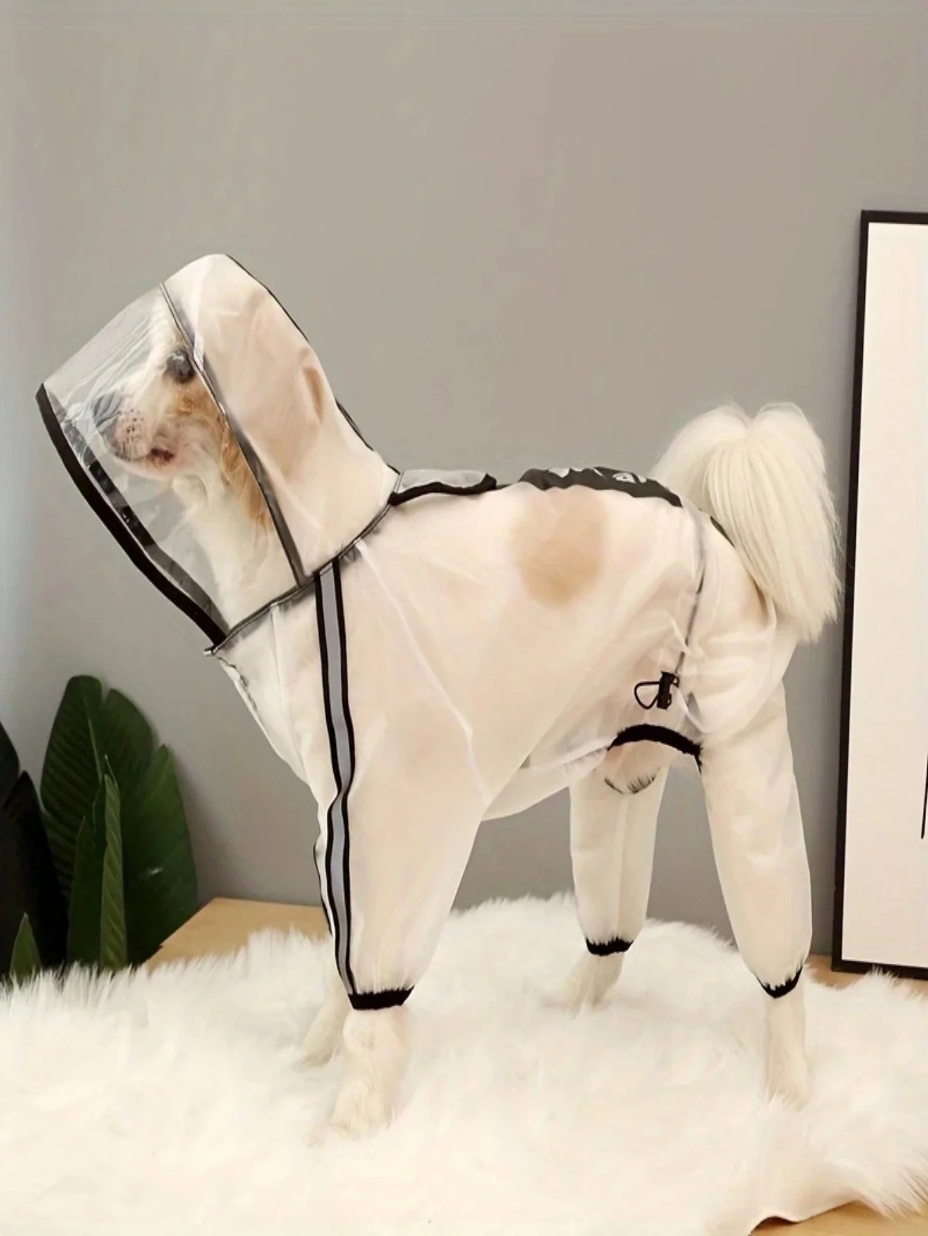 Dog Raincoat FullCover