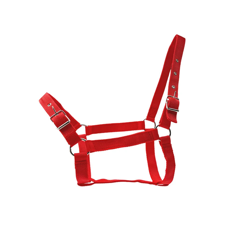 Cabezada de Nylon Ajustable para Caballo con Cuerda Guía