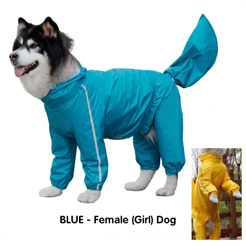 Dog Raincoat MaxiGuard