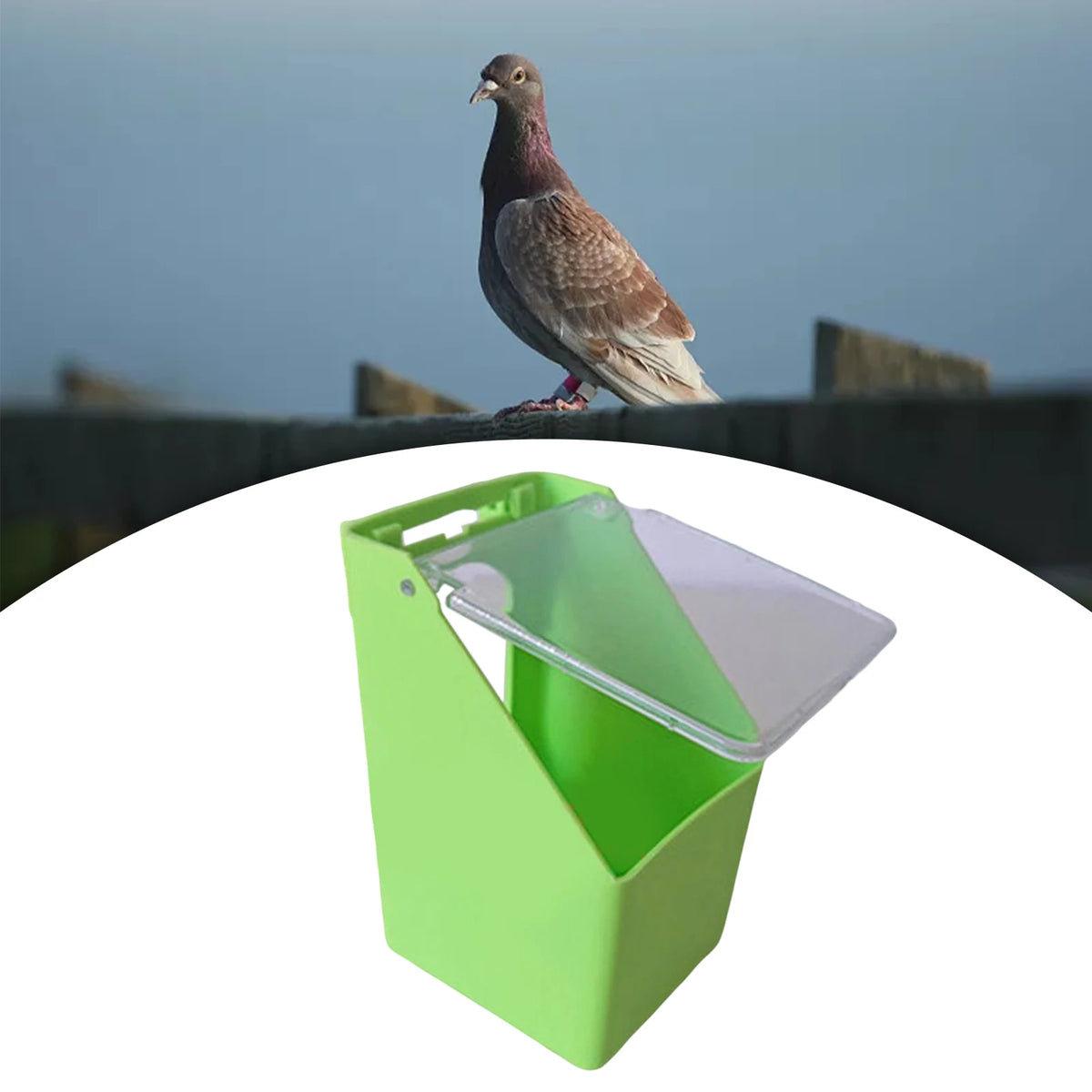 Comedero Colgante para Aves y Loros