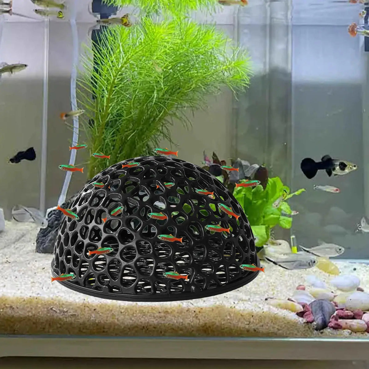 Cueva Decorativa Escondite para Acuario