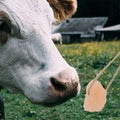 Bloque Mineral de Sal para Cabras, 10 unidades
