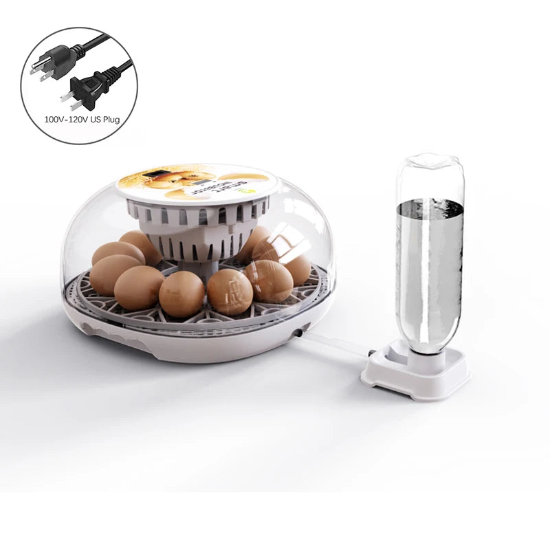 Incubadora Automática Pequeña 12 Huevos con Control Inteligente de Temperatura