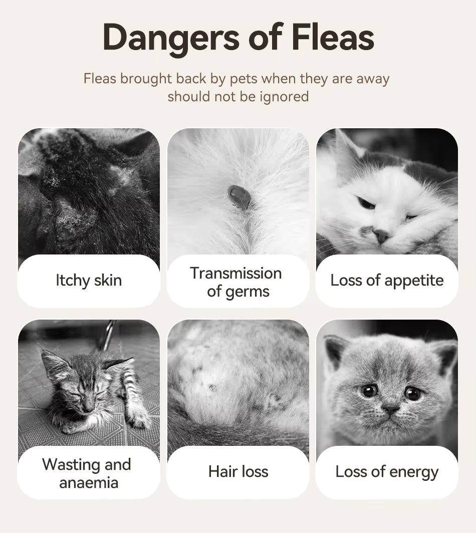 Flea Comb Spark
