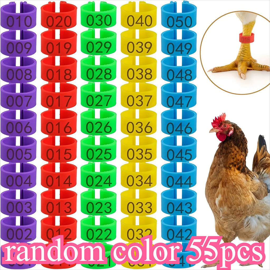 Anillas Identificadoras Numeradas para Patas de Gallinas y Aves de Corral