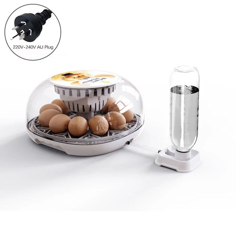 Incubadora Automática Pequeña 12 Huevos con Control Inteligente de Temperatura