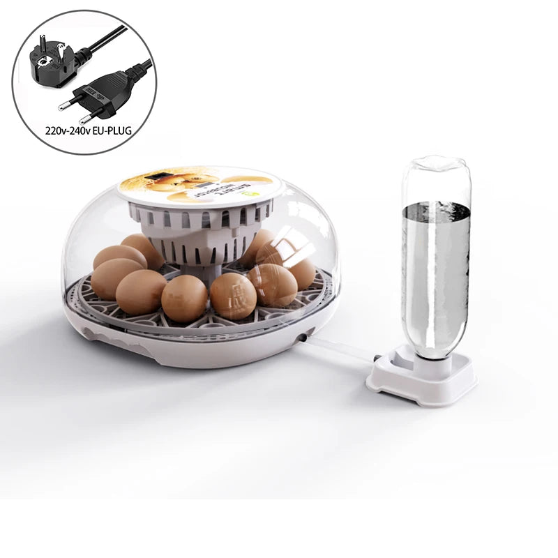 Incubadora Automática Pequeña 12 Huevos con Control Inteligente de Temperatura