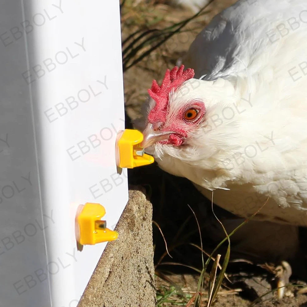 Bebederos de Tetina para Gallinas y Aves de Corral – Pack de 15