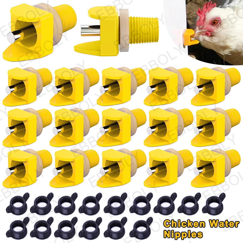 Bebederos de Tetina para Gallinas y Aves de Corral – Pack de 15