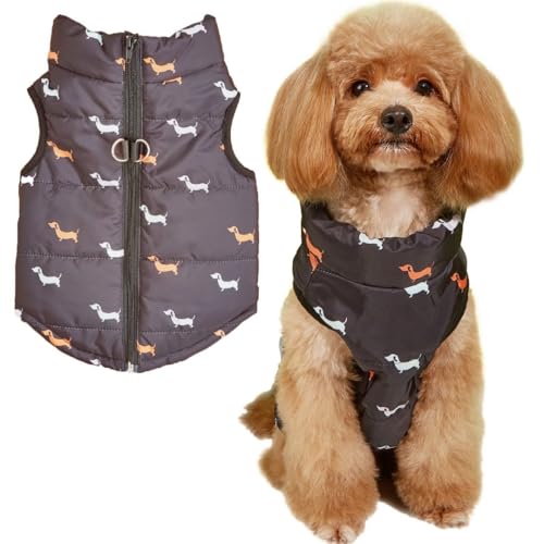 Abrigo de Invierno para Perros con Anilla D – Chaqueta Térmica Impermeable con Cremallera