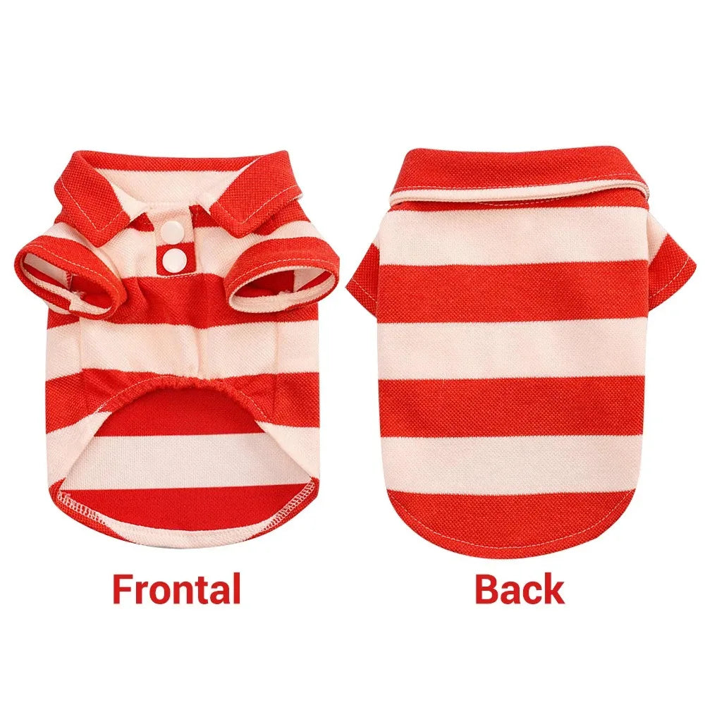 Summer T-Shirt for Dogs & Cats