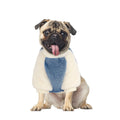 Suéter de Invierno para Perros Pequeños – Jersey Polar Suave y Elástico