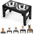 Comedero Elevado para Perros