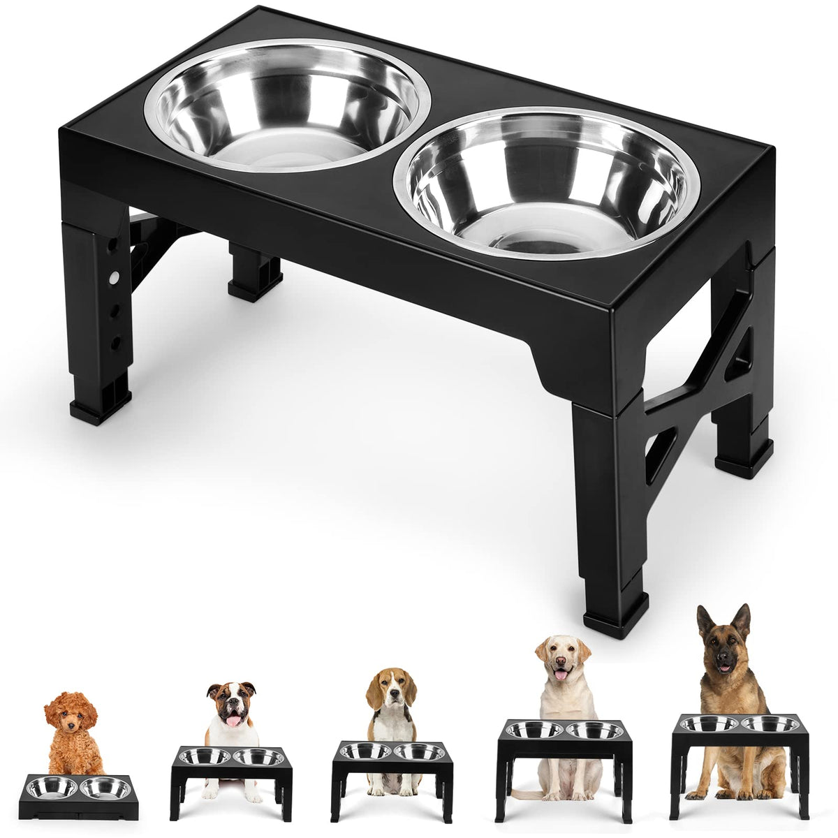 Comedero Elevado para Perros