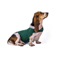 Anxiety Relief Vest for Dogs and Cats