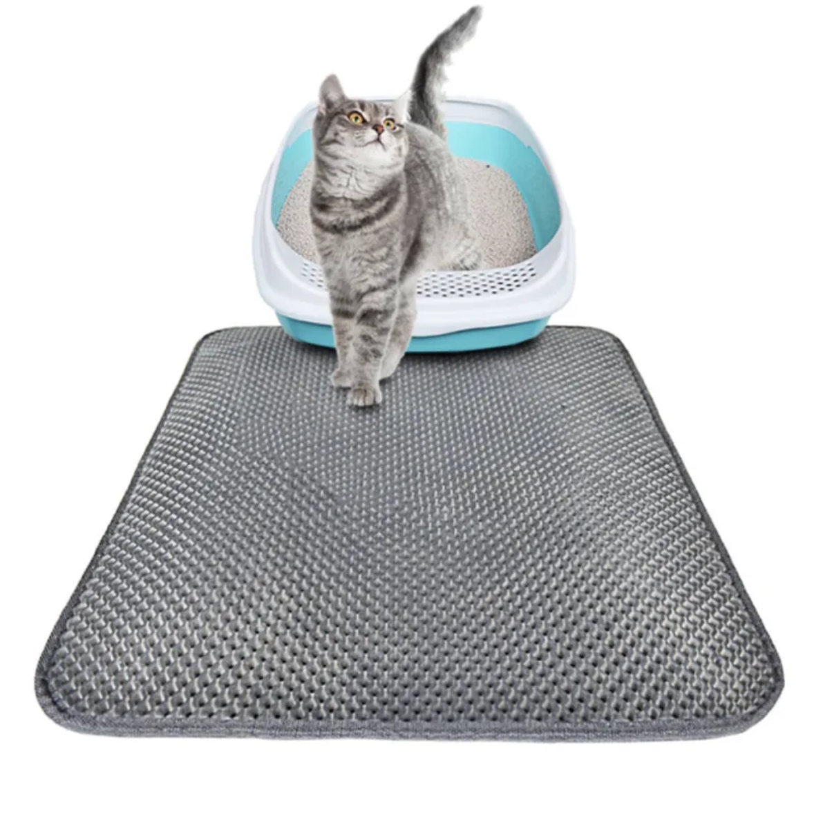 Double-Layer Cat Litter Mat