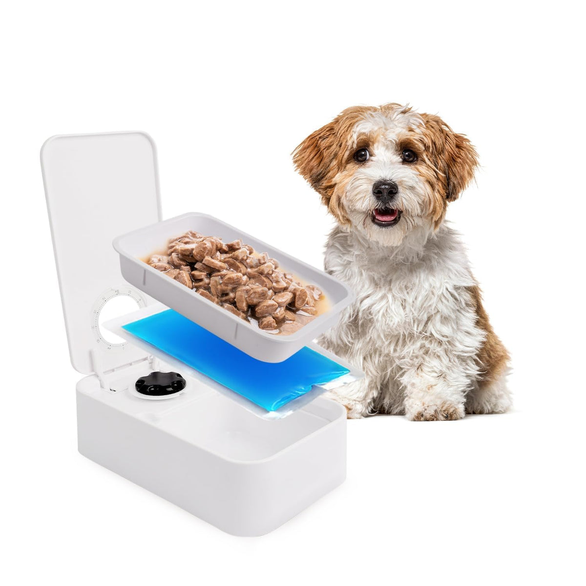 Comedero Automático para Comida Húmeda con Pack de Hielo para Gatos - Temporizador 1 Comida 300 ml