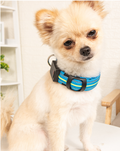 Collar LED Luminoso con Tiras Reflectantes para Perros