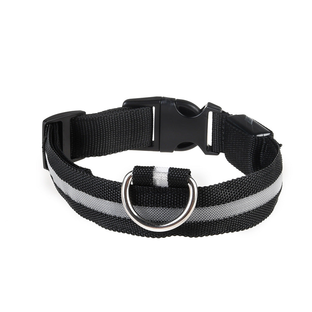 Rechargeable LED Collar for Dogs of All Sizes