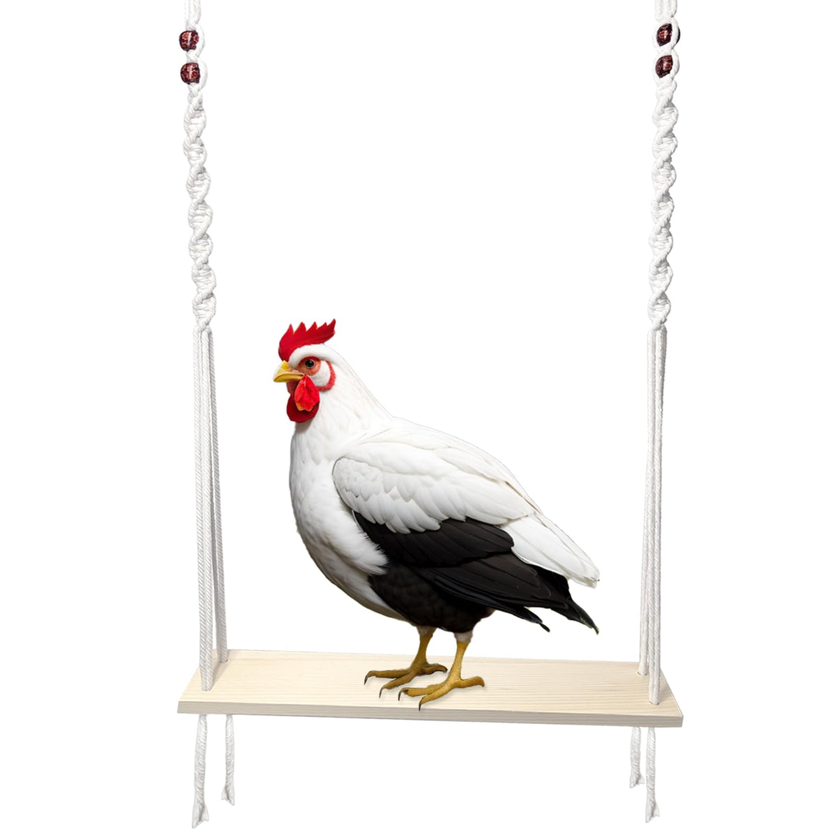 Columpio de Madera Natural para Gallinas