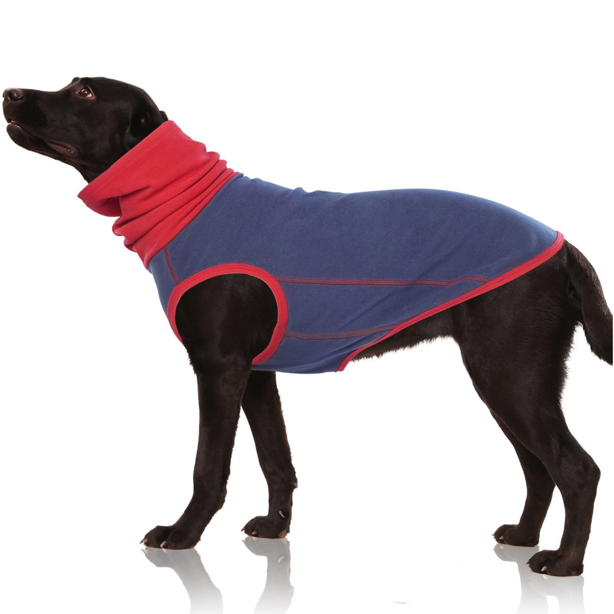 Camisa Polar de Invierno para Perros – Sudadera Térmica con Cuello Alto
