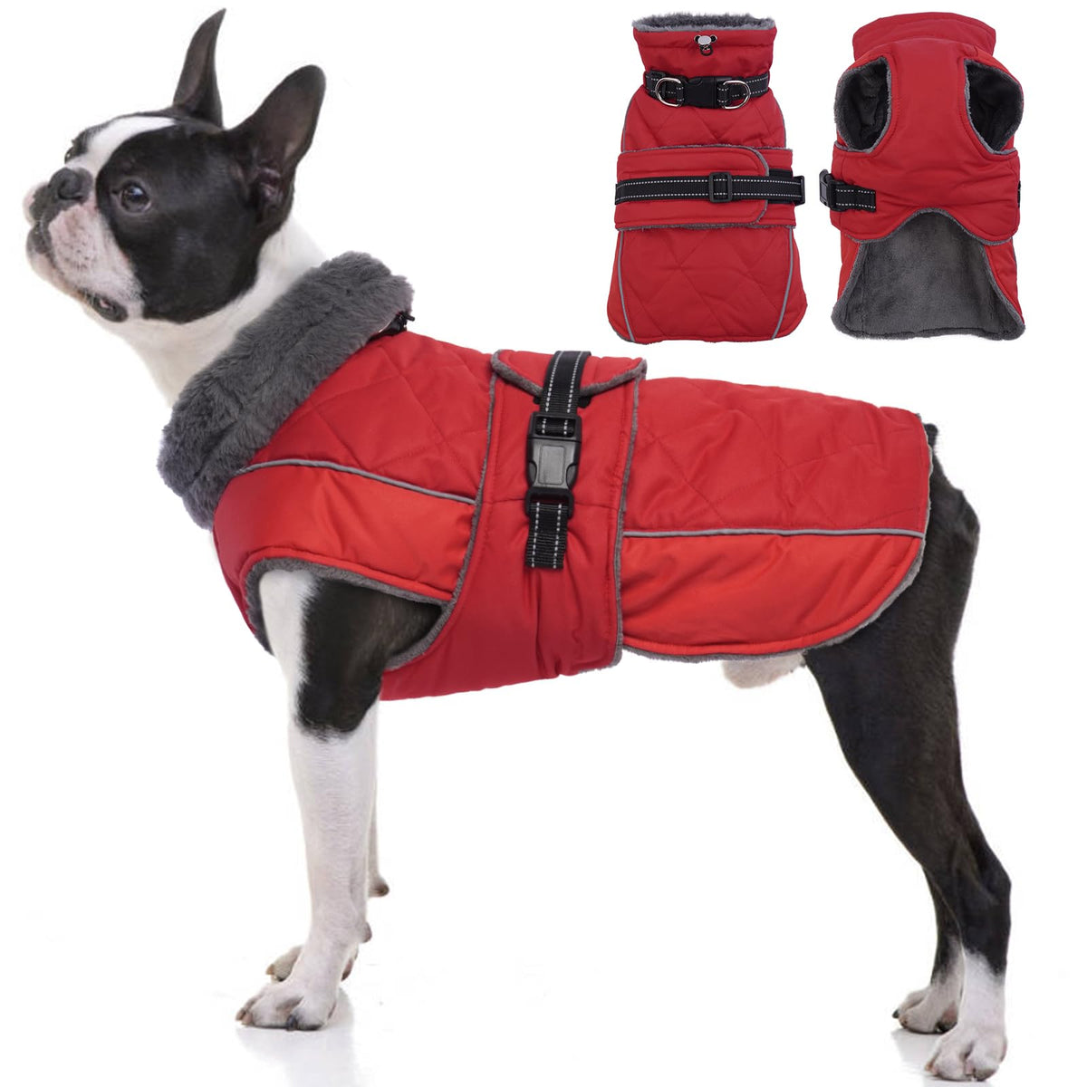 Abrigo Reflectante de Invierno para Perros – Chaqueta Térmica Impermeable con Cuello Alto