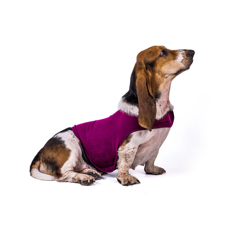 Anxiety Relief Vest for Dogs and Cats
