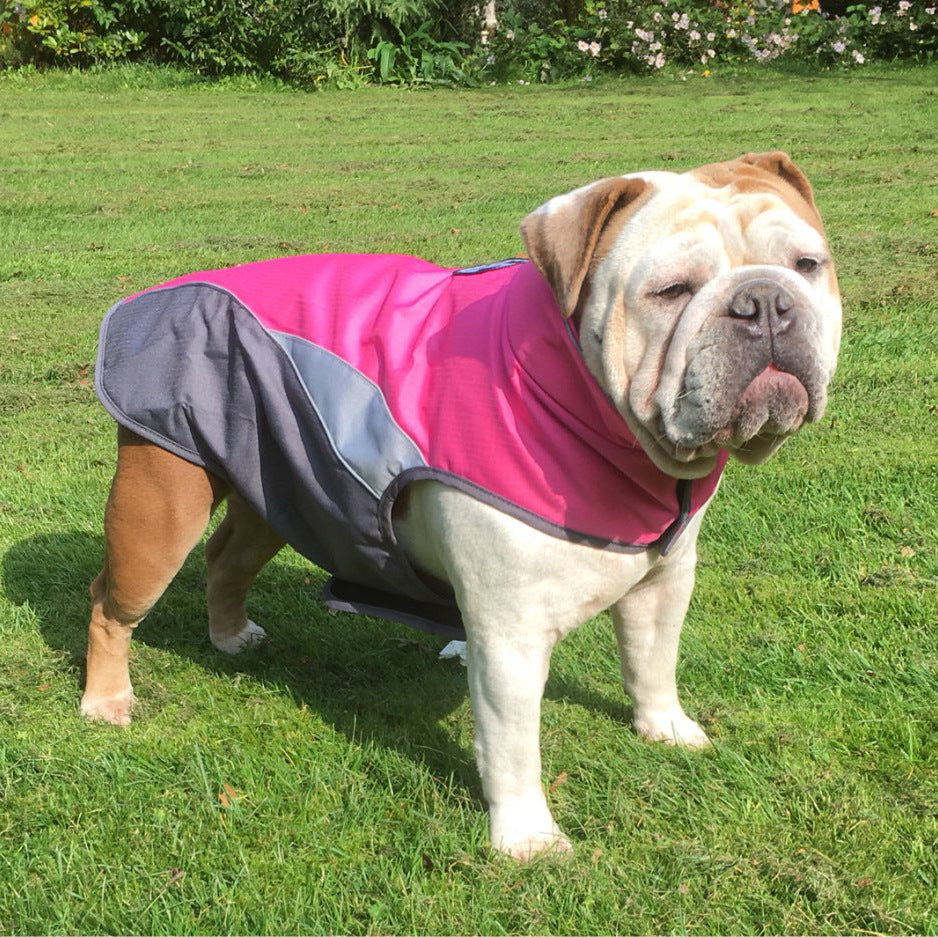 Chubasquero impermeable y chaqueta aislante para mascotas para exteriores