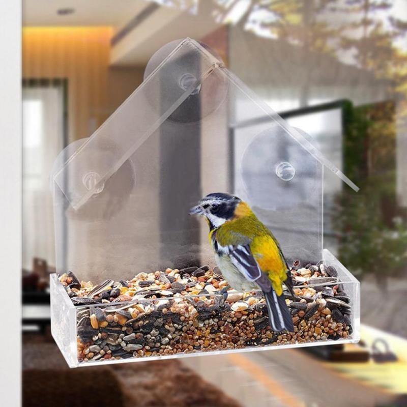 Comedero de Ventana con Ventosas — Acrílico Transparente para Observar Aves de Cerca