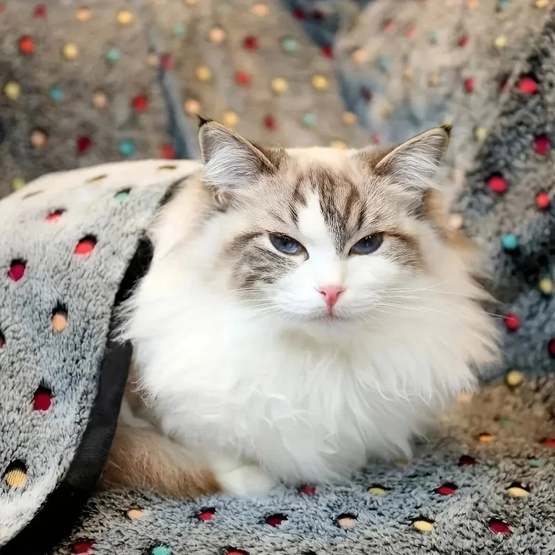 Soft Fluffy Pet Blanket (3-Piece Set)