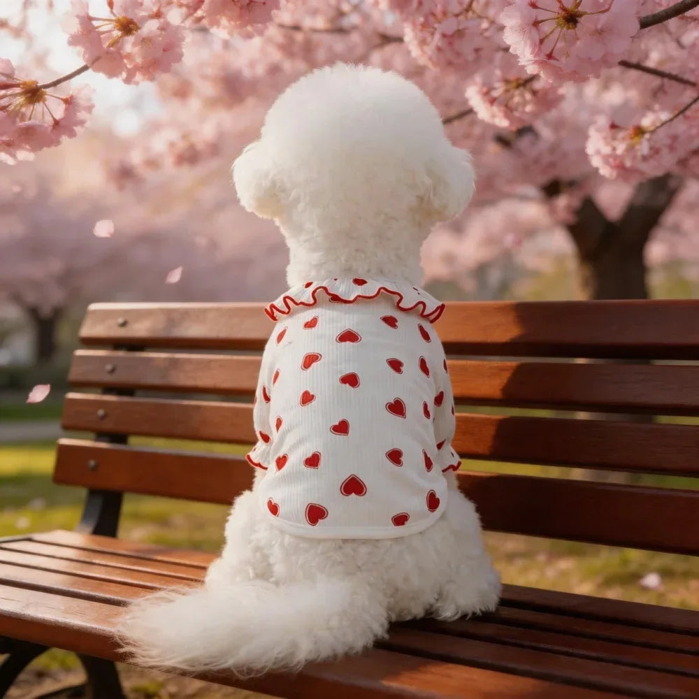 Heart Print Ruffle Dog Shirt for Small Breeds