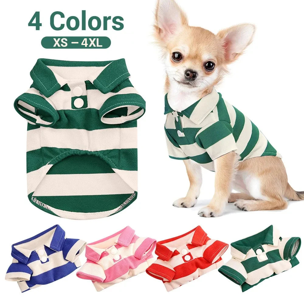 Summer T-Shirt for Dogs & Cats