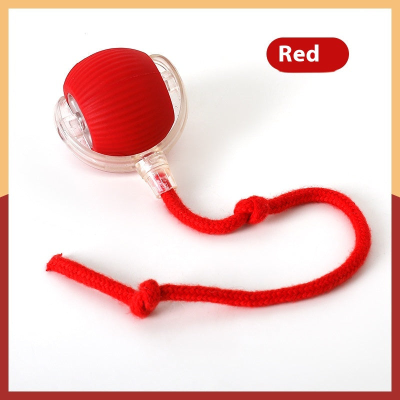 Interactive Cat Ball Toy
