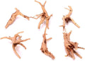 Madera Natural Driftwood para Acuario – Decoración de Rama para Peces