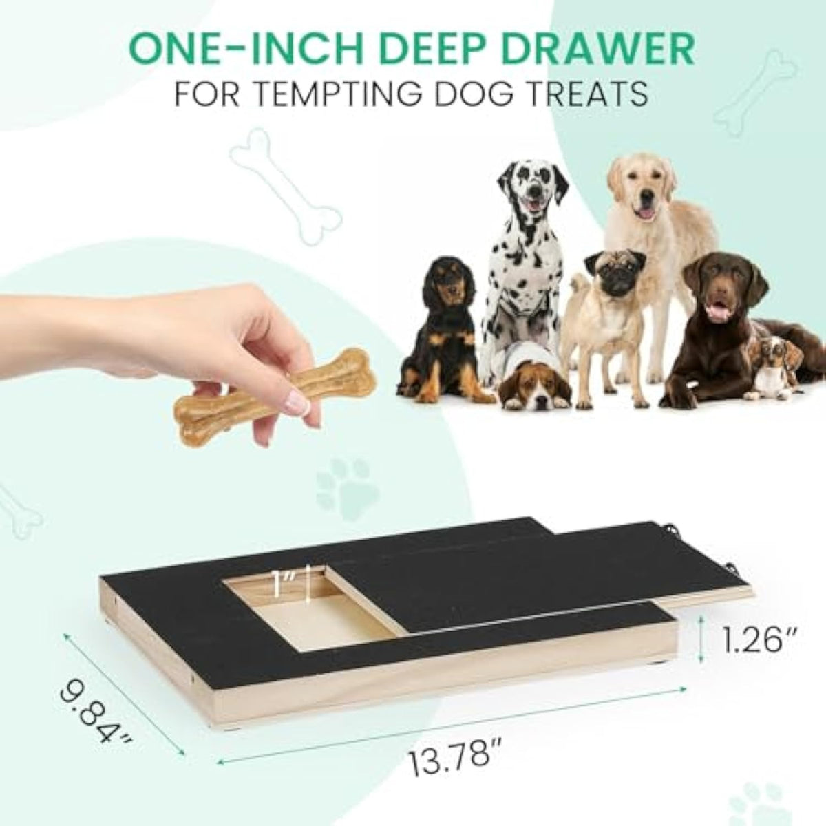 Tabla Lima de Uñas para Perros con Caja de Premios